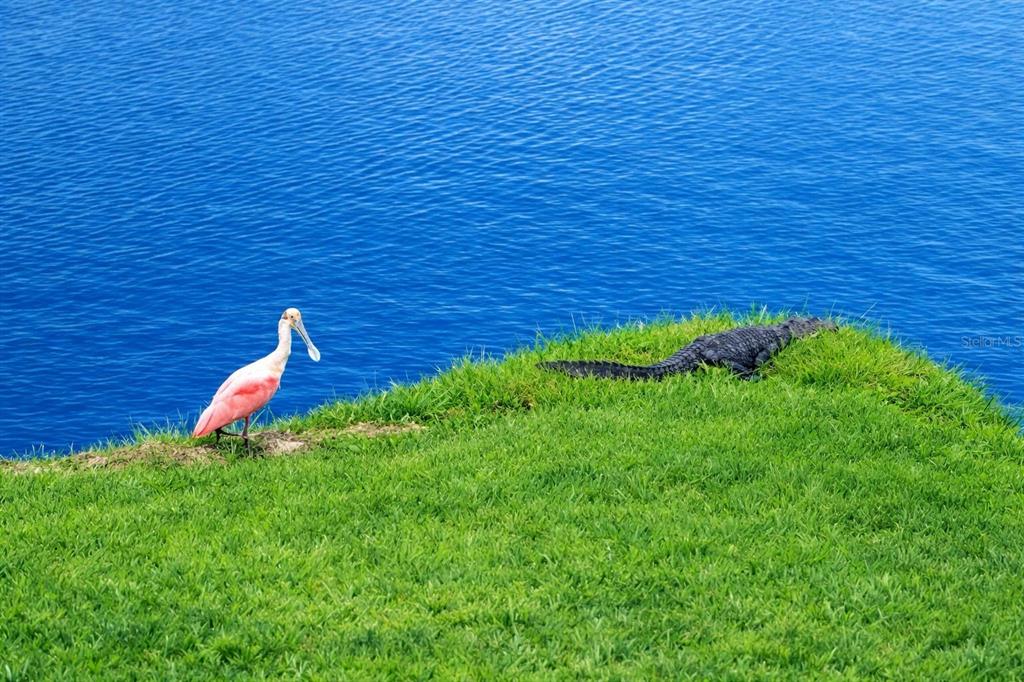 6363 99th Way North, Unit 12I St. Petersburg, FL 33708 - Photo 5 of 69