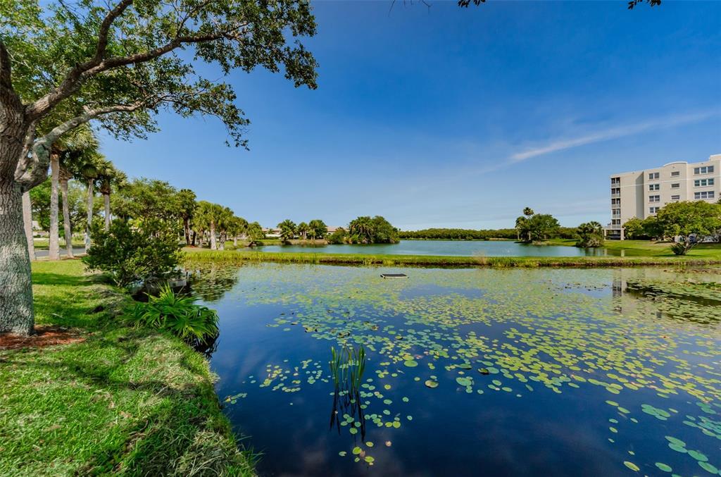 6363 99th Way North, Unit 12I St. Petersburg, FL 33708 - Photo 56 of 69