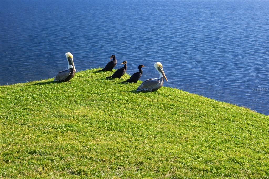 6363 99th Way North, Unit 12I St. Petersburg, FL 33708 - Photo 8 of 69