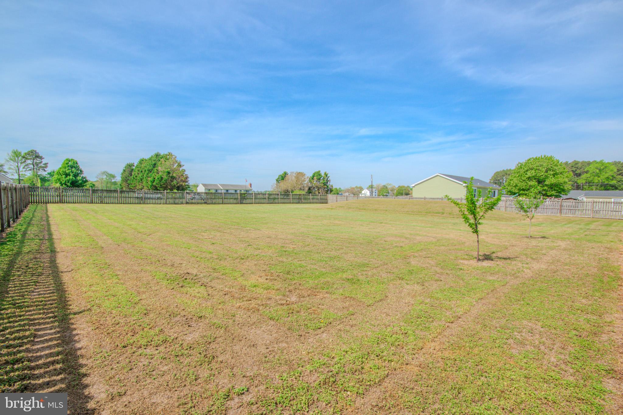 9243 Mill Branch Road Mardela Springs, MD 21837 - Photo 23 of 42