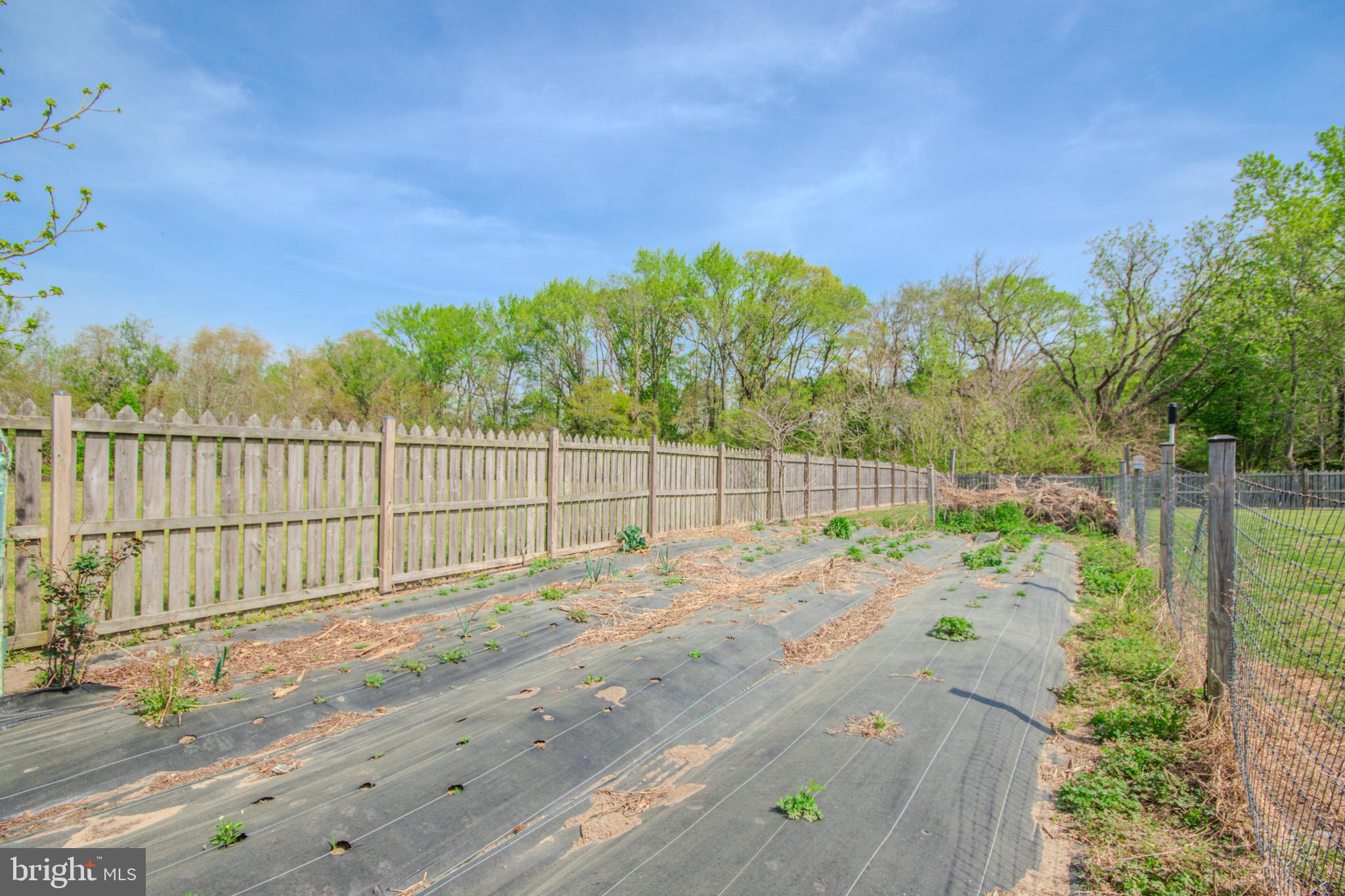 9243 Mill Branch Road Mardela Springs, MD 21837 - Photo 29 of 42