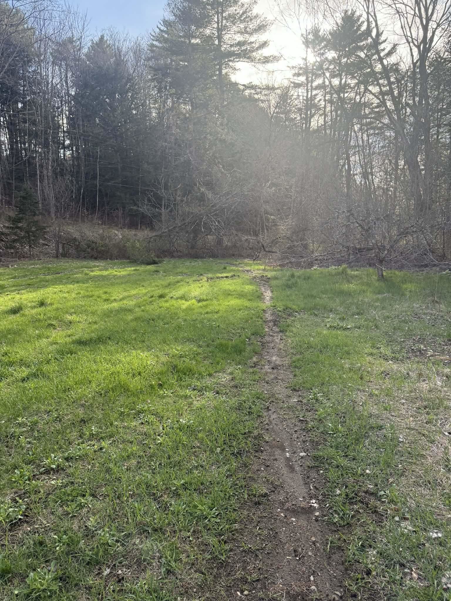 973 Wheeler Rand Road Charlestown, NH 03603 - Photo 10 of 33