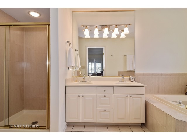 5600 South County Line Road Hinsdale, IL 60521 - Photo 17 of 24 a bathroom with a sink a mirror and a shower