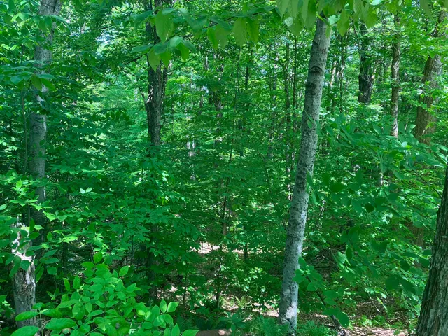 $25,000 | 26 Upper Howes Way, Unit A26, Wilmington, VT 05363