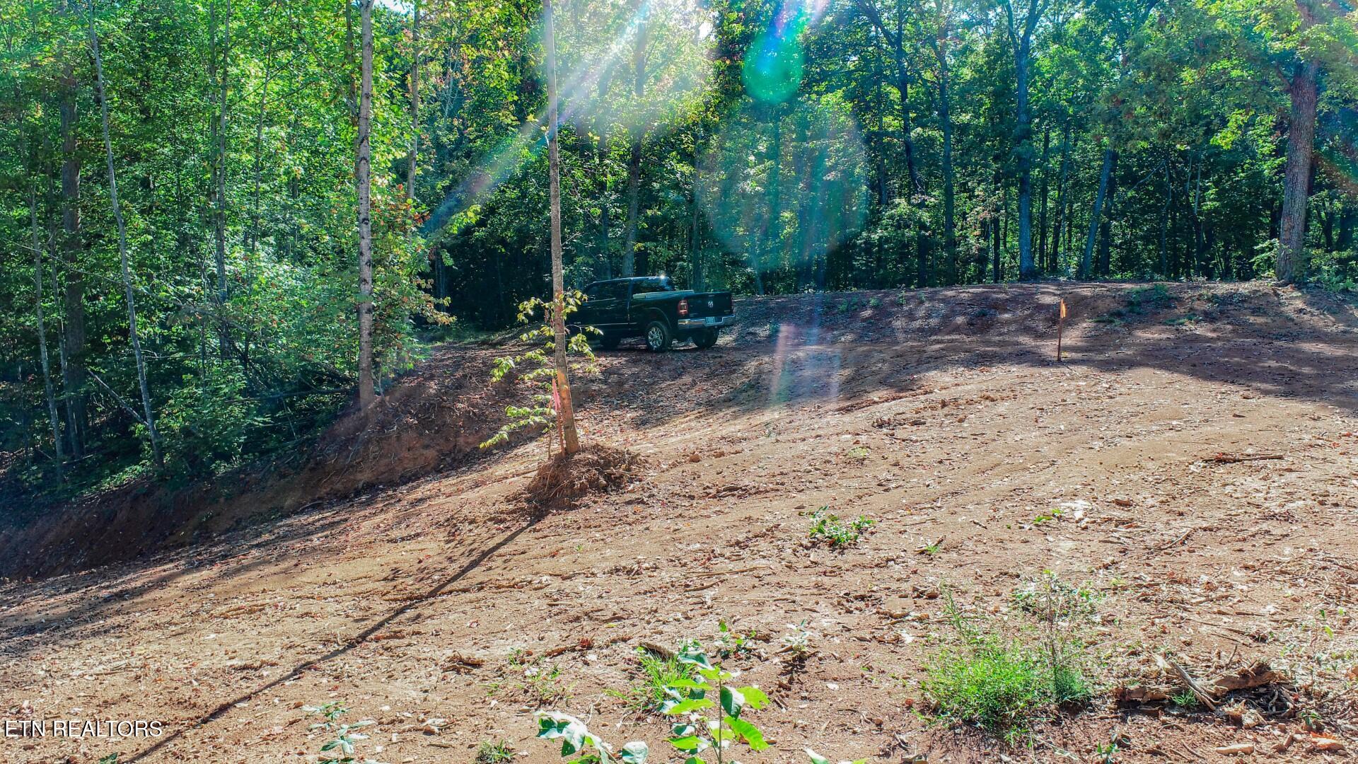 113 Huffman Way Newport, TN 37821 - Photo 11 of 20 11