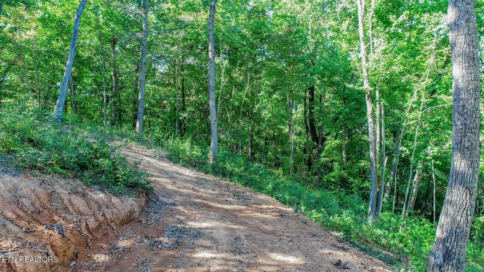 113 Huffman Way Newport, TN 37821 - Photo 12 of 20 12