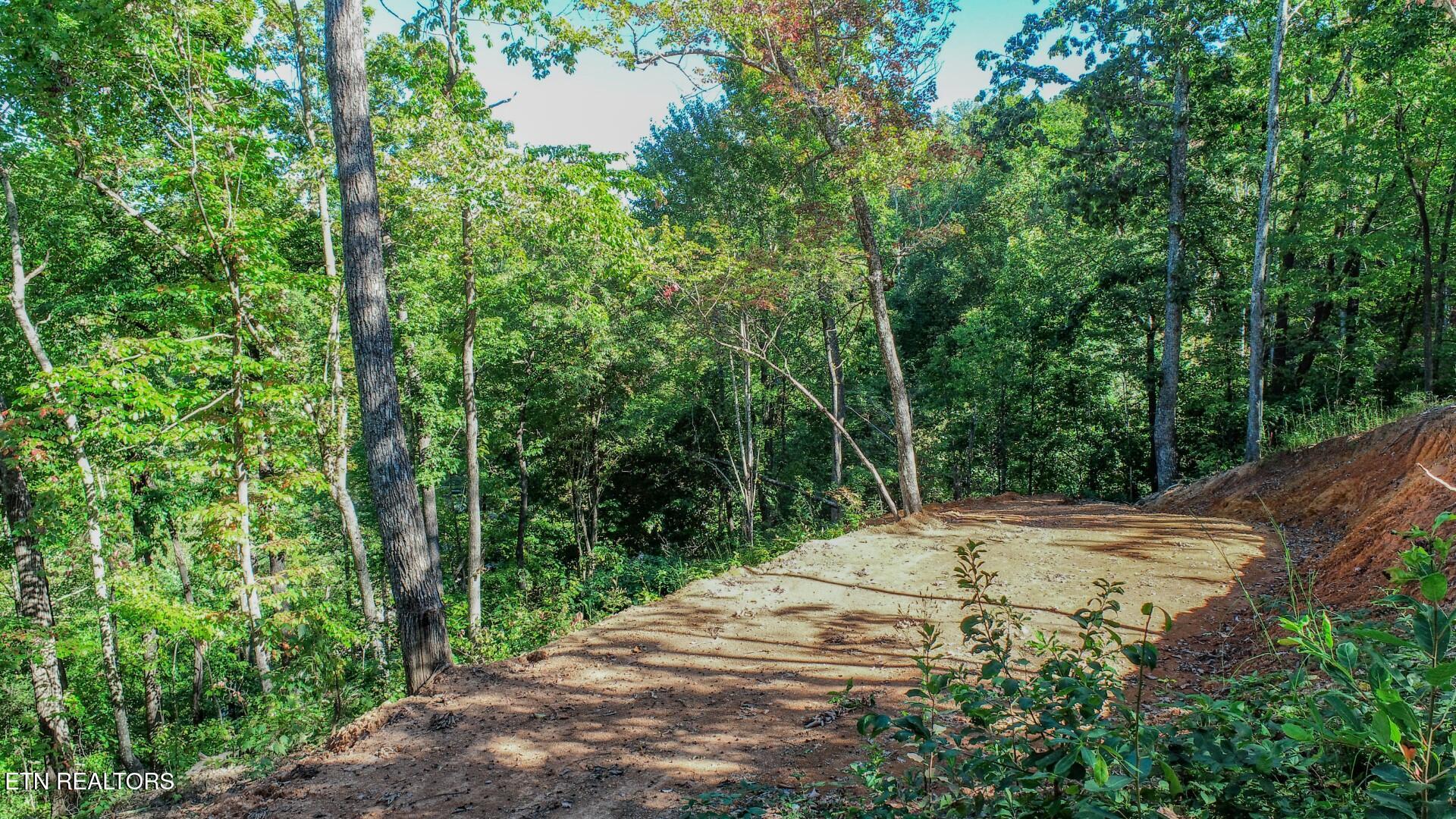 113 Huffman Way Newport, TN 37821 - Photo 13 of 20 13