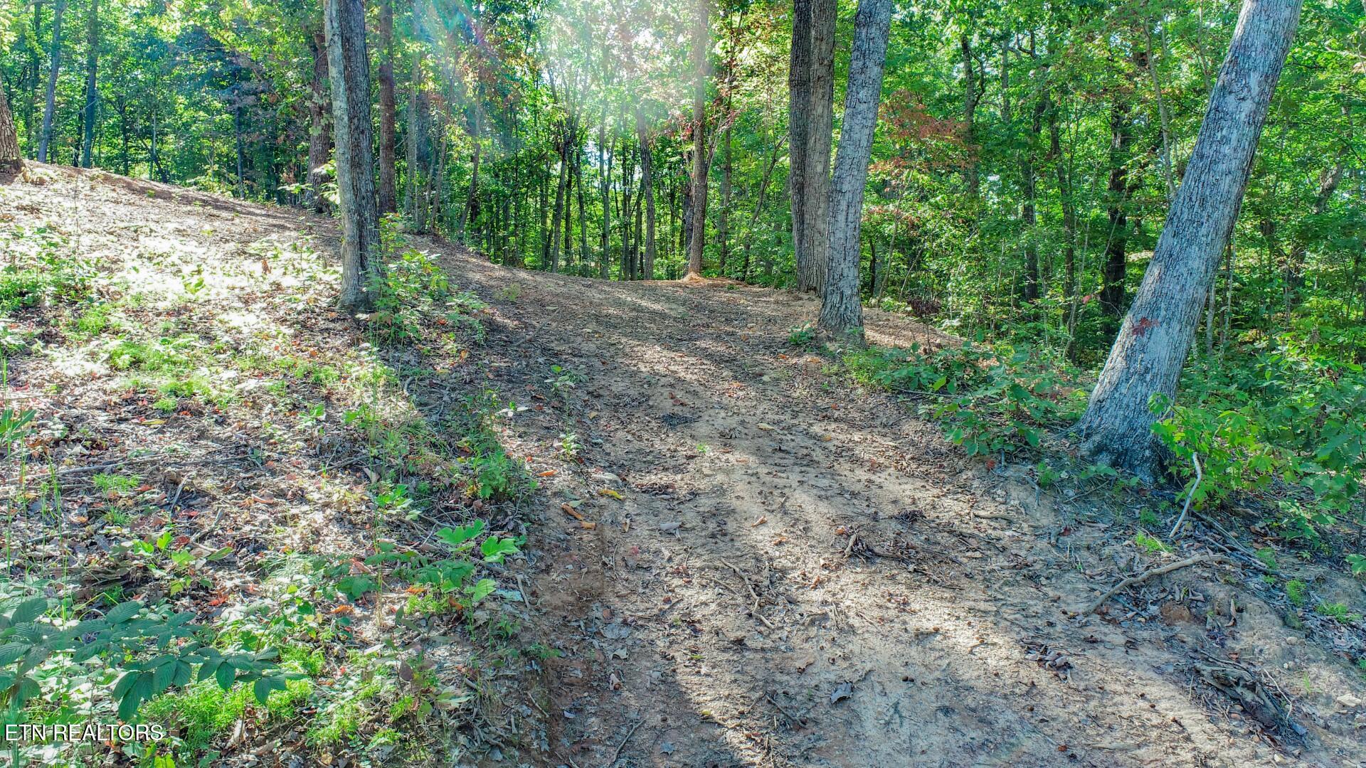 113 Huffman Way Newport, TN 37821 - Photo 14 of 20 14