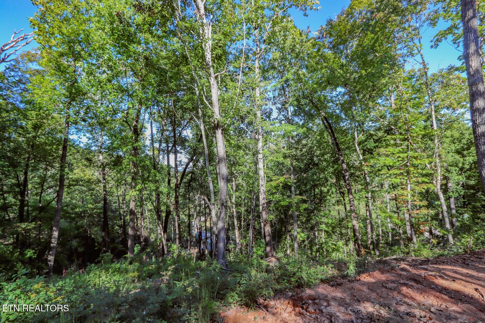 113 Huffman Way Newport, TN 37821 - Photo 15 of 20 15