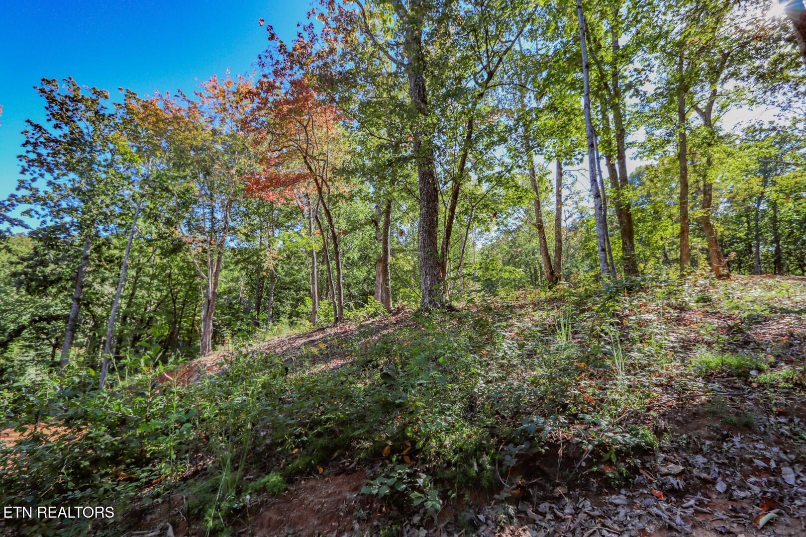 113 Huffman Way Newport, TN 37821 - Photo 16 of 20 16