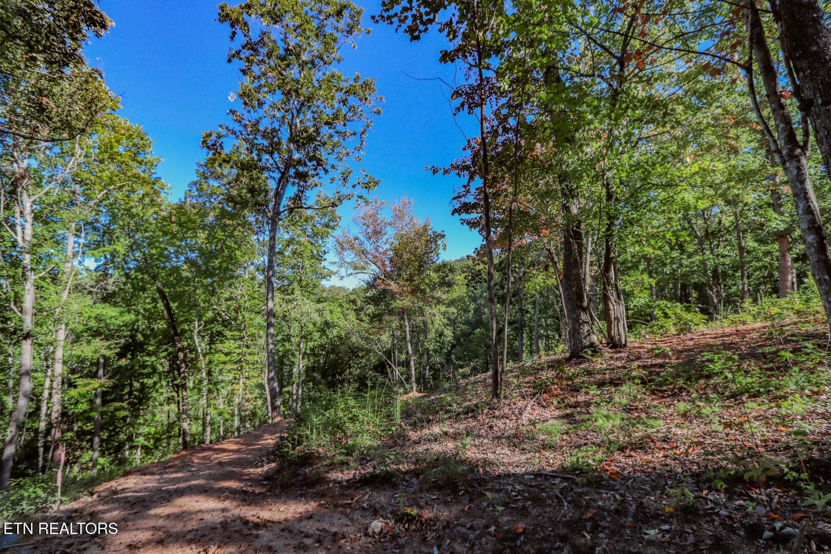 113 Huffman Way Newport, TN 37821 - Photo 17 of 20 17