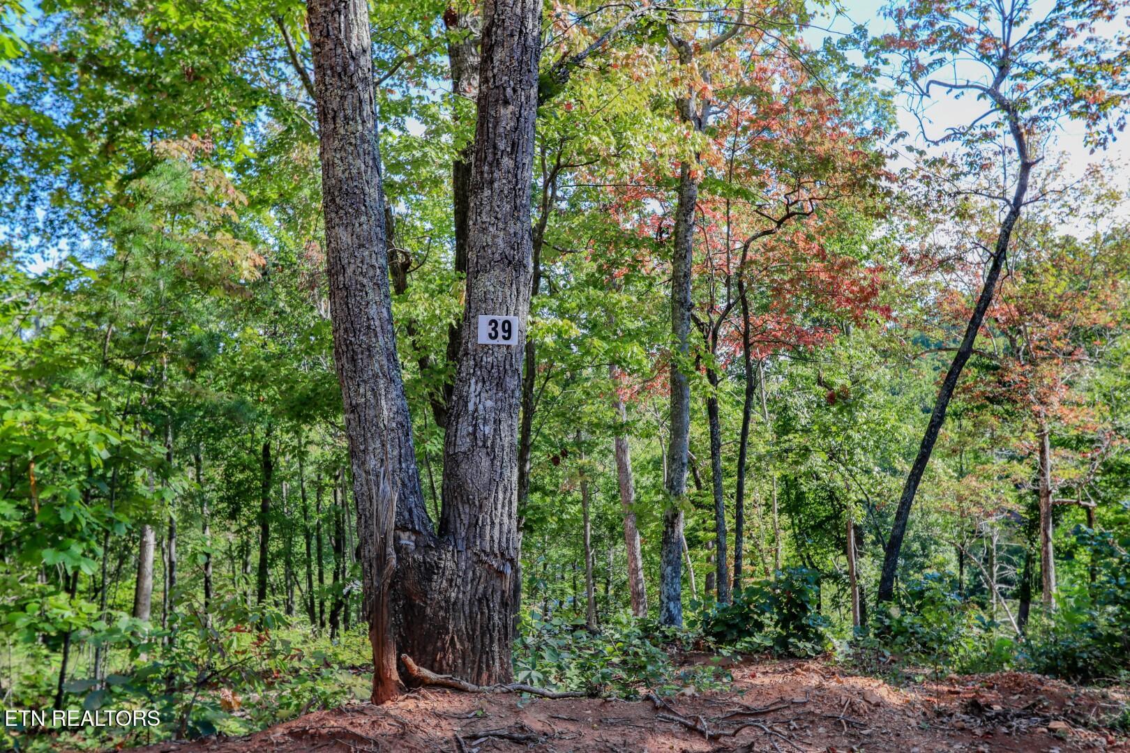 113 Huffman Way Newport, TN 37821 - Photo 18 of 20 18