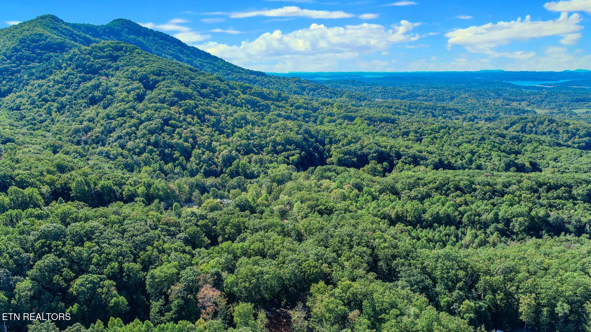 113 Huffman Way Newport, TN 37821 - Photo 2 of 20 2