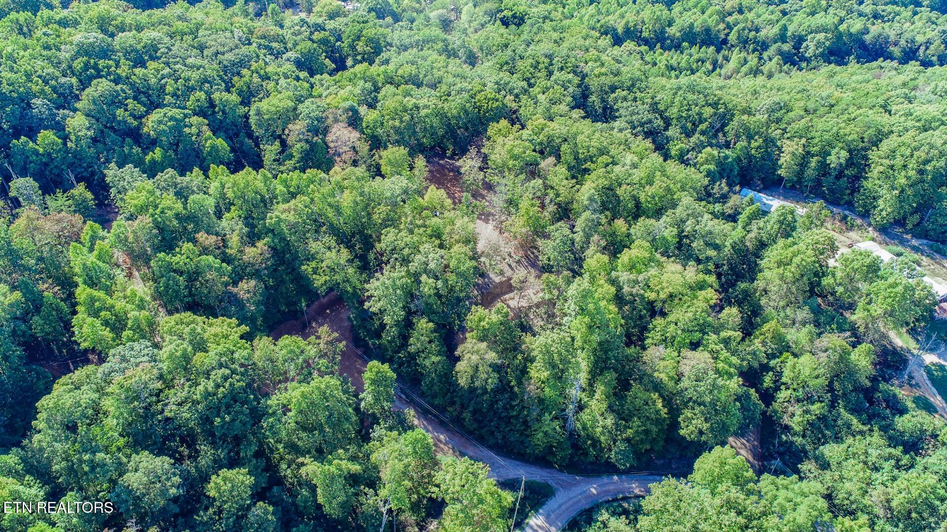 113 Huffman Way Newport, TN 37821 - Photo 4 of 20 4