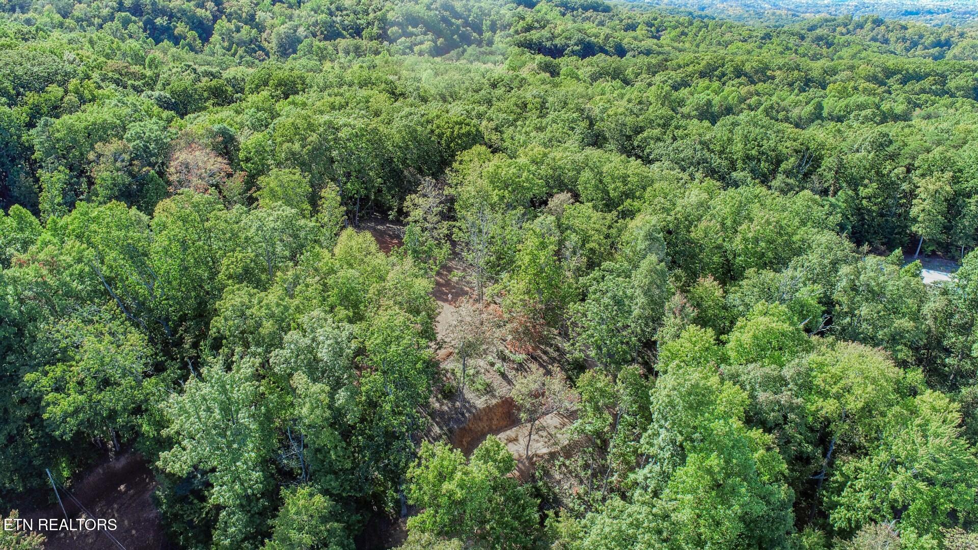 113 Huffman Way Newport, TN 37821 - Photo 5 of 20 5