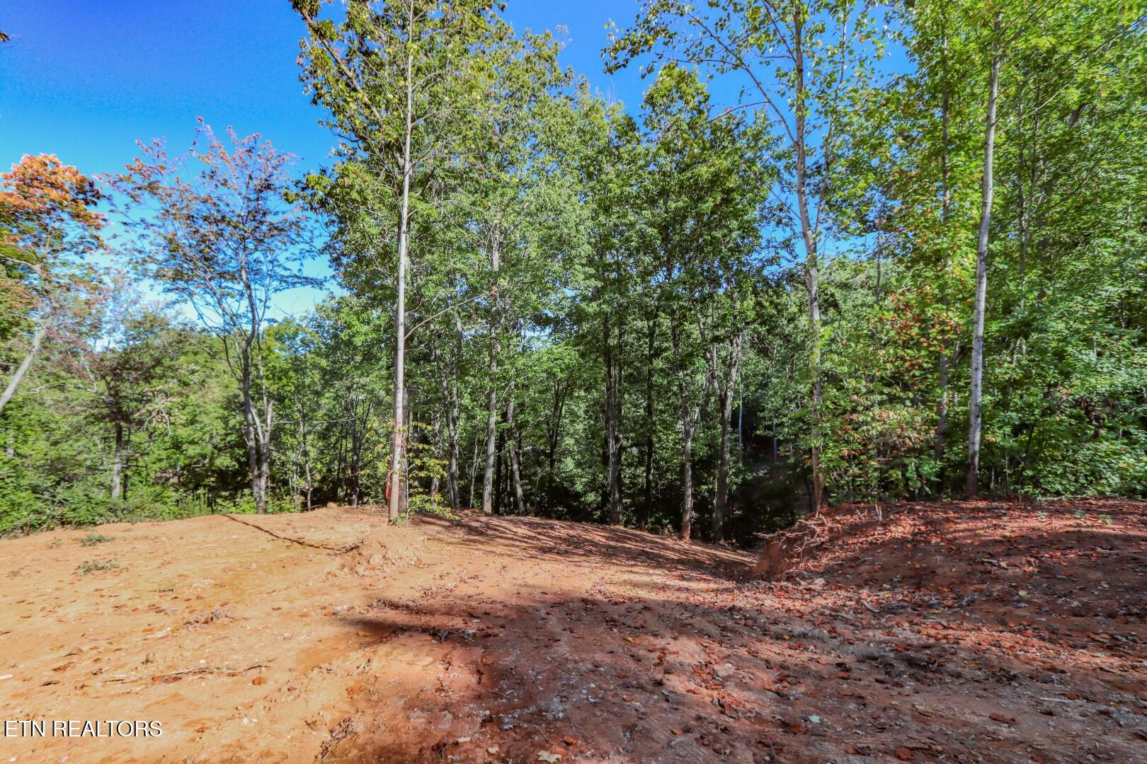 113 Huffman Way Newport, TN 37821 - Photo 7 of 20 7