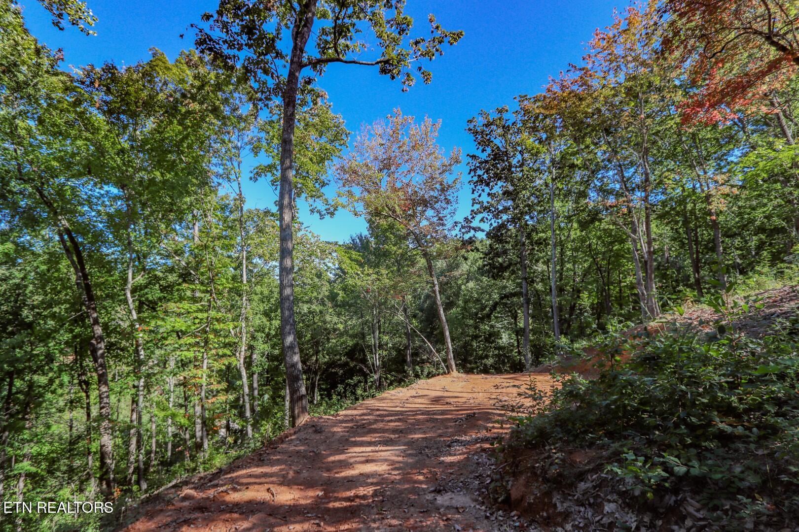 113 Huffman Way Newport, TN 37821 - Photo 8 of 20 8