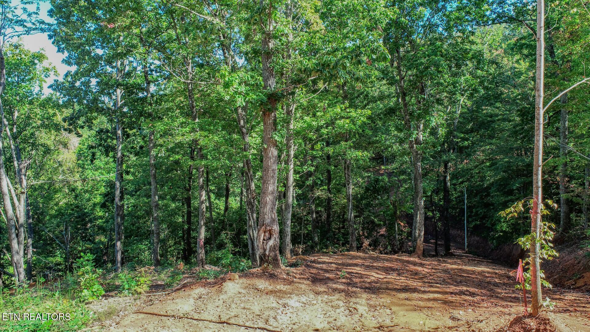 113 Huffman Way Newport, TN 37821 - Photo 9 of 20 9