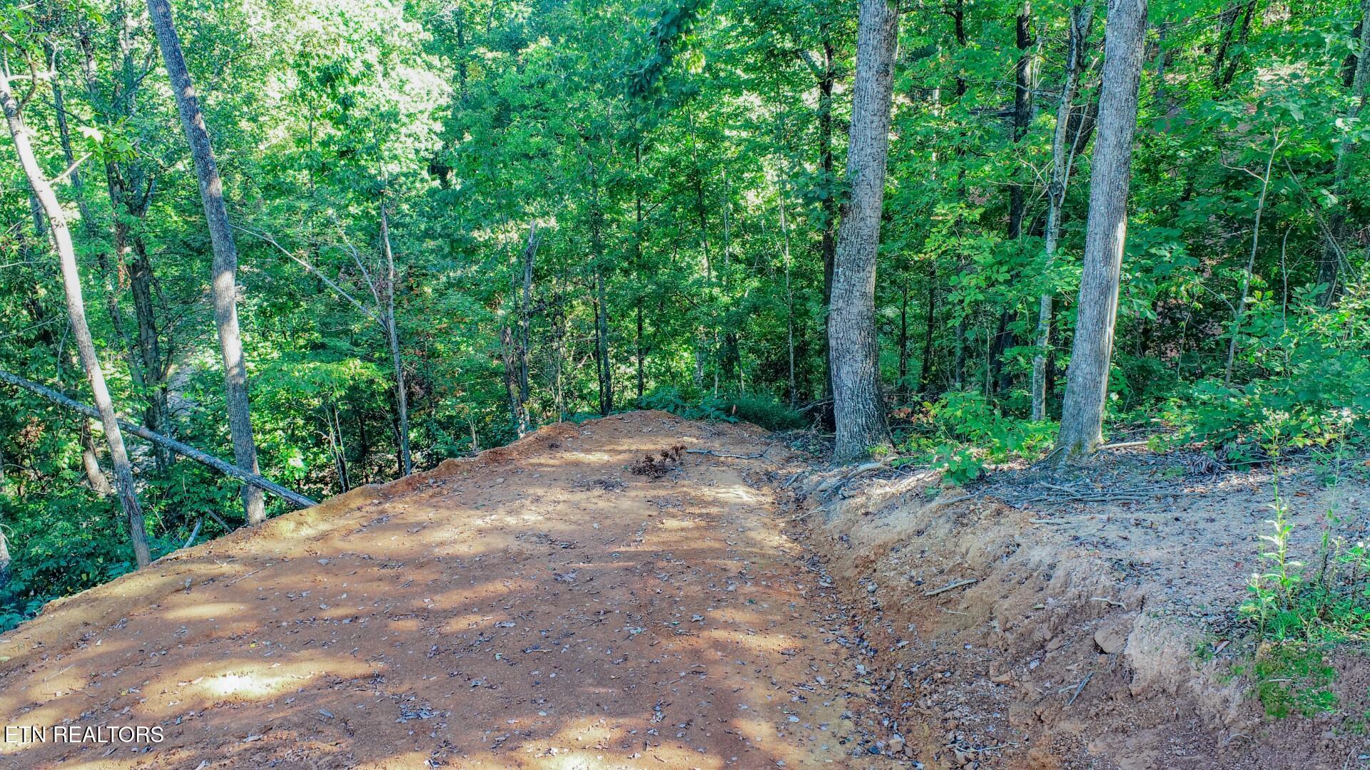 113 Huffman Way Newport, TN 37821 - Photo 10 of 20 10