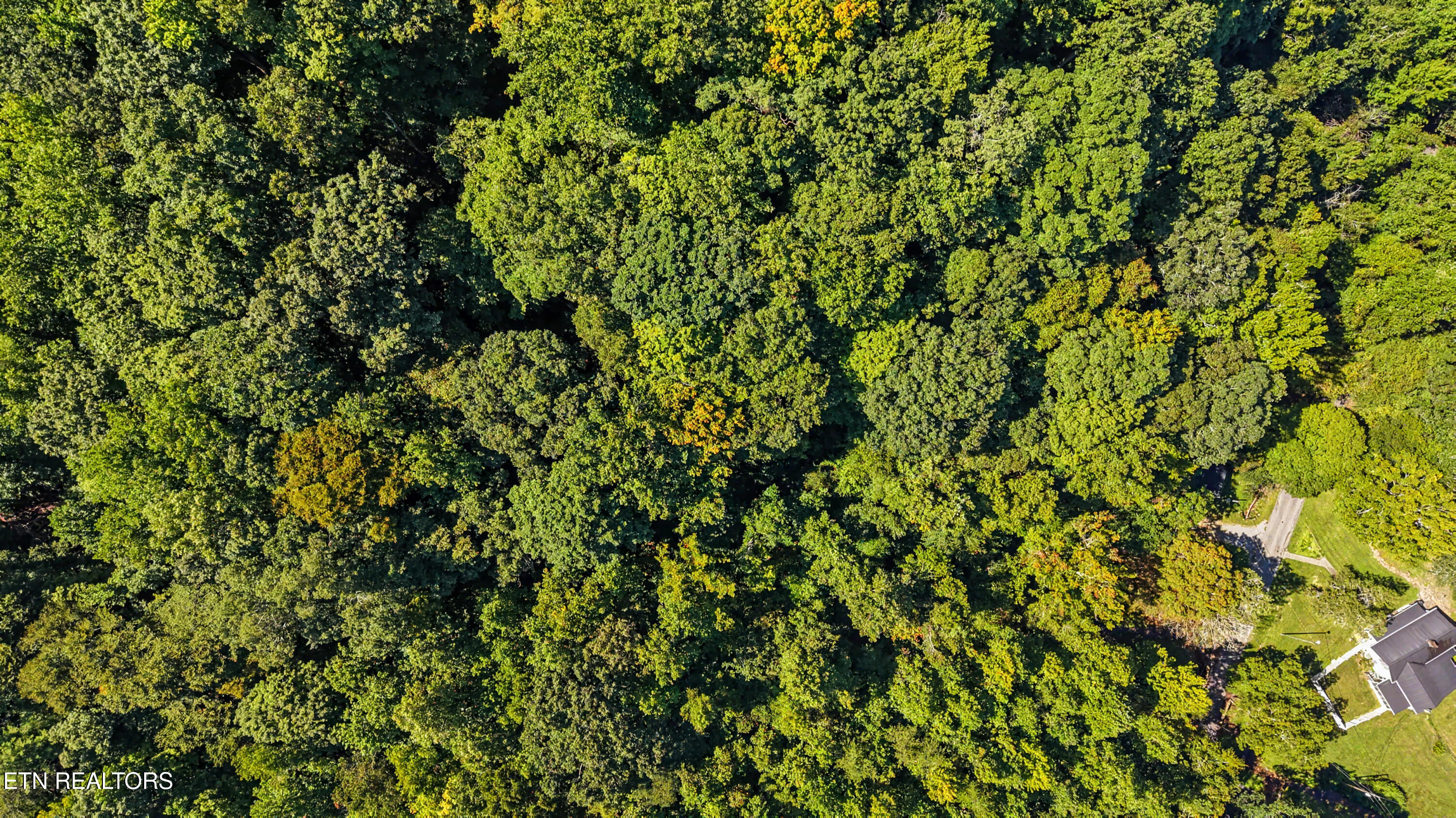 Tract 2-r-3 Cold Springs Road Walland, TN 37886 - Photo 15 of 17 DJI_20260824112728_0171_D-2