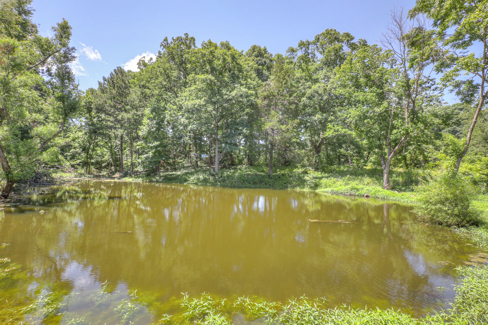 7404 Rice Court Fairview, TN 37062 - Photo 52 of 54
