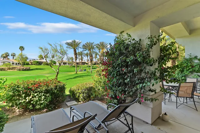 a view of a backyard with plants and a garden