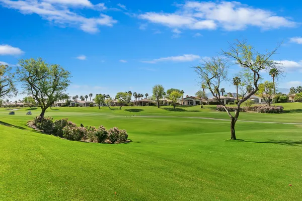 a view of a lush green field with lots of plants in it