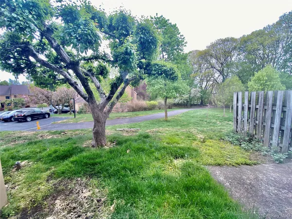 a view of a garden with a tree