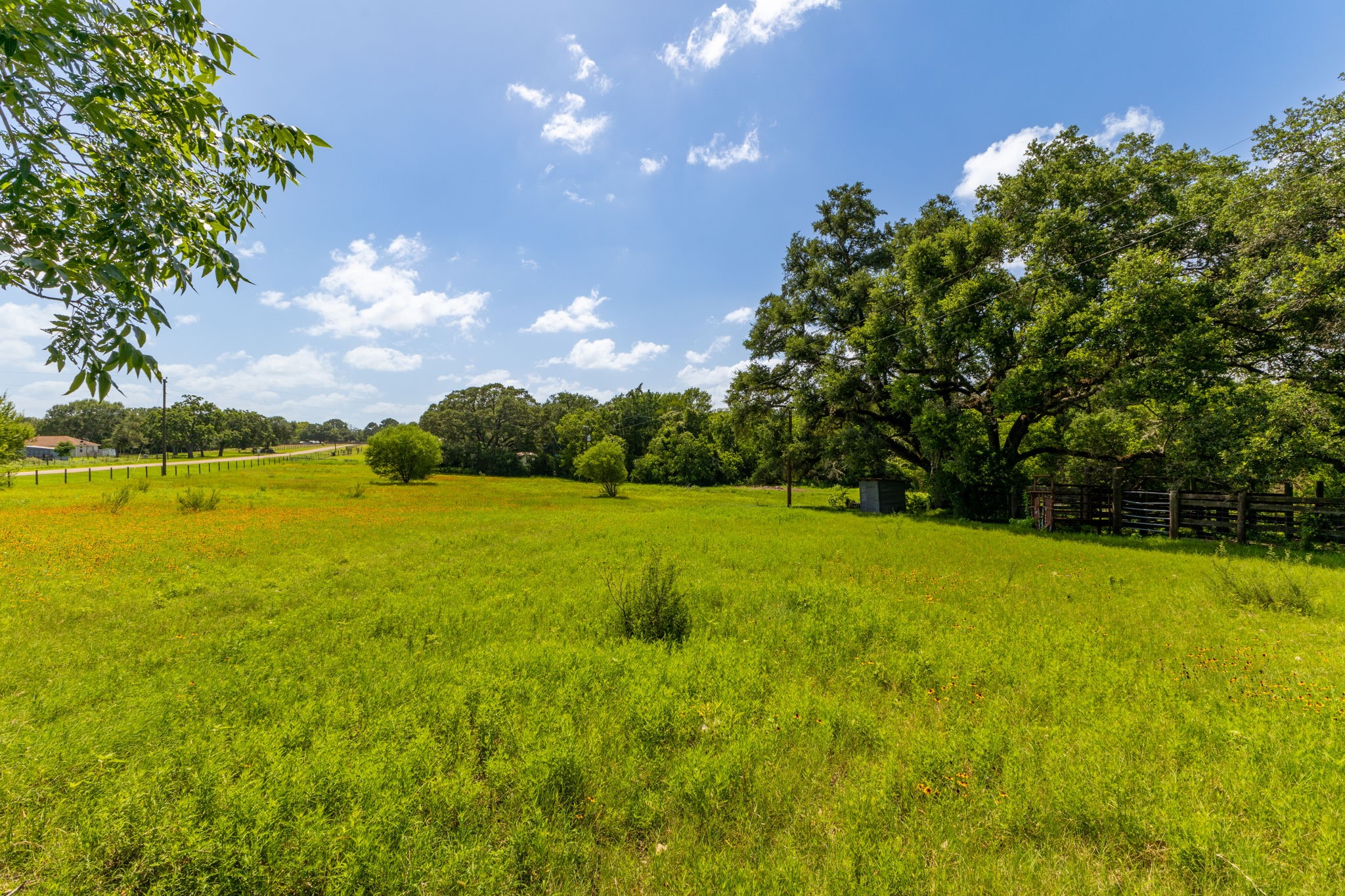3505 Brunes Mill Road Columbus, TX 78934 - Photo 46 of 49