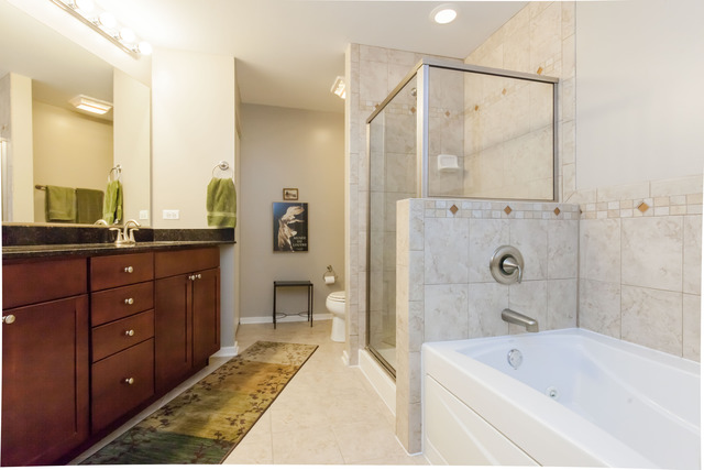520 South State Street, Unit 501 Chicago, IL 60605 - Photo 16 of 25 a bathroom with a tub sink and mirror