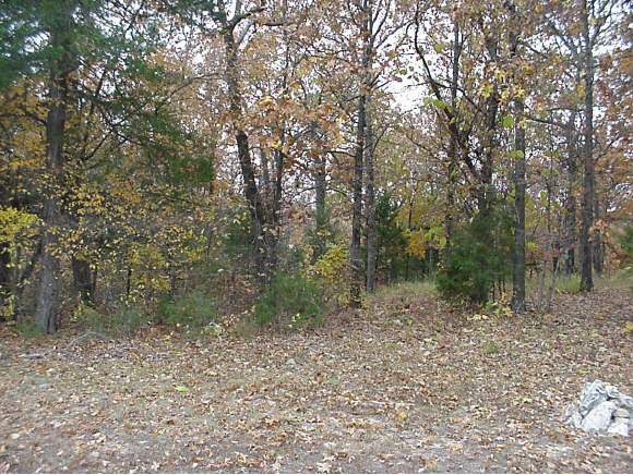 39 South S Highway Shell Knob, MO 65747 - Photo 1 of 1 Primary Photo