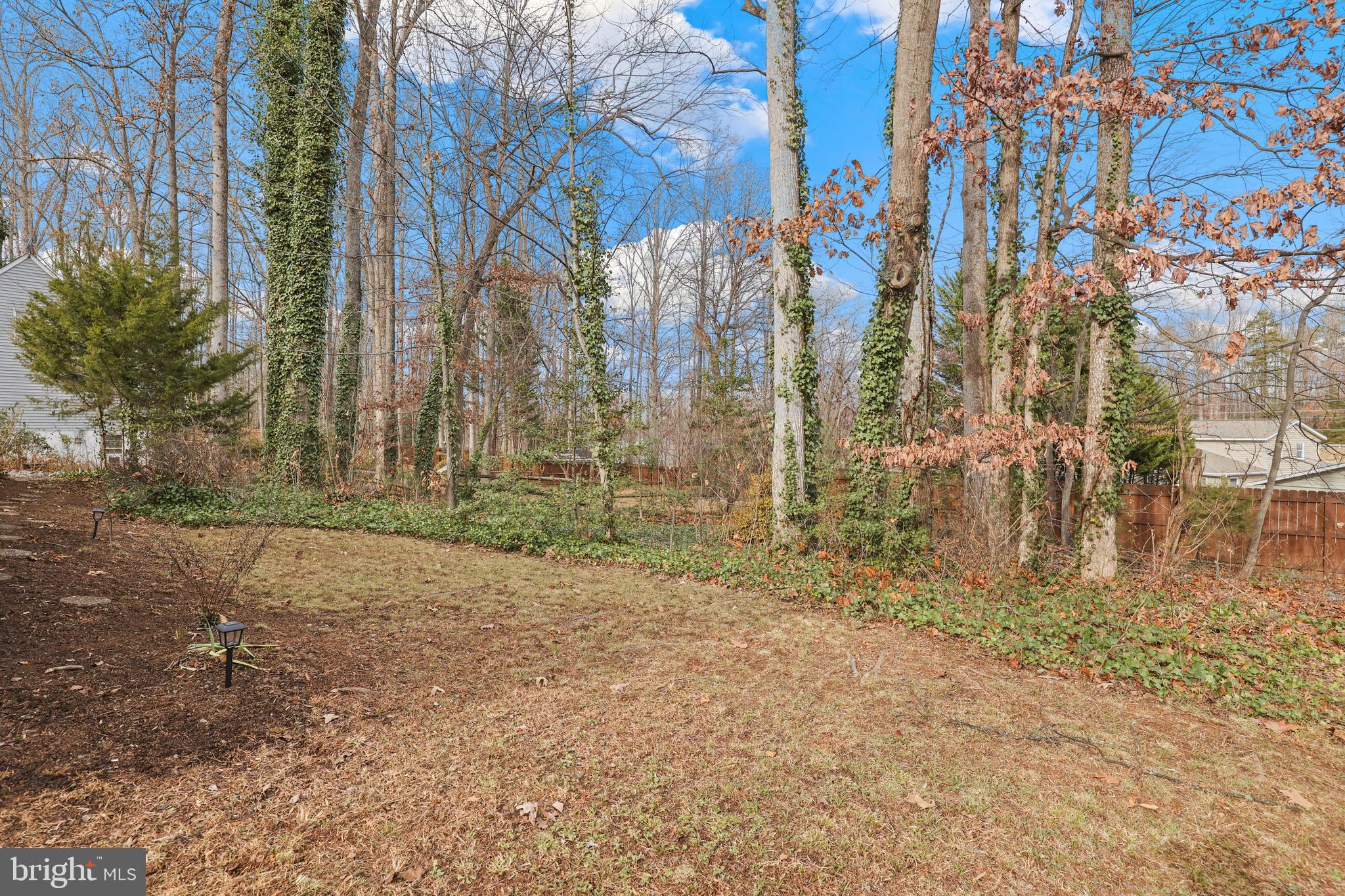 207 Spotswood Road Locust Grove, VA 22508 - Photo 36 of 58 a backyard of a house with lots of green space