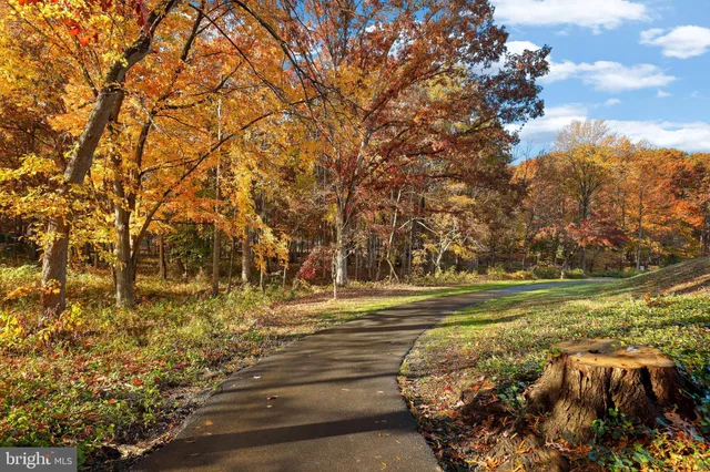 a view of a park with swings and slides