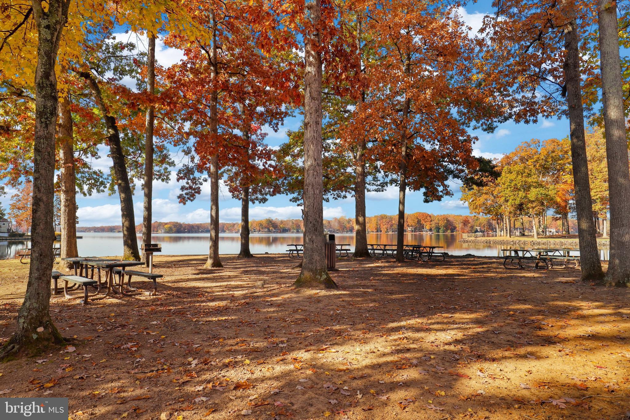 207 Spotswood Road Locust Grove, VA 22508 - Photo 49 of 58