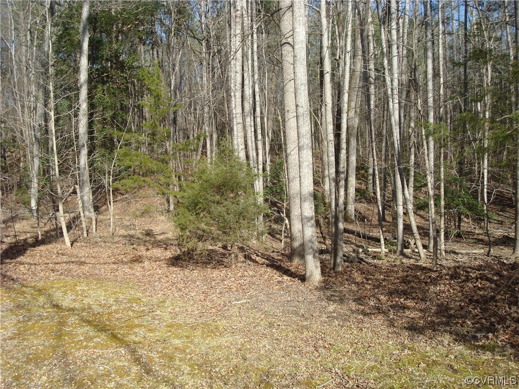 12803 Spring Run Road Chesterfield, VA 23832 - Photo 6 of 40 a view of outdoor space with shower and trees