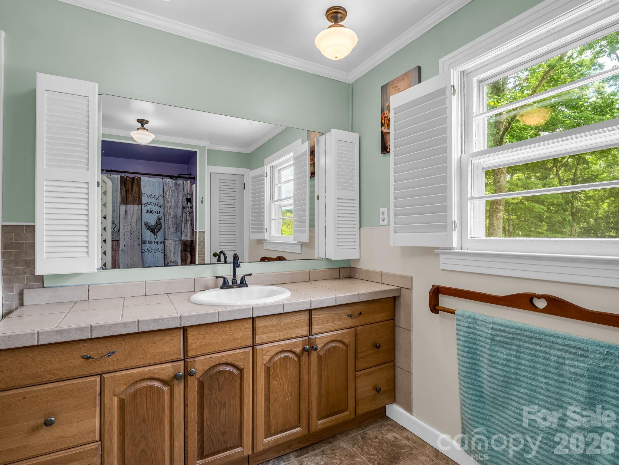 263 O Messersmith Road Lake Lure, NC 28746 - Photo 24 of 43