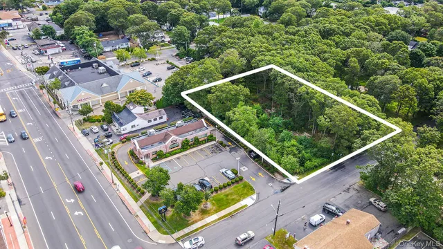 an aerial view of swimming pool with a garden and plants