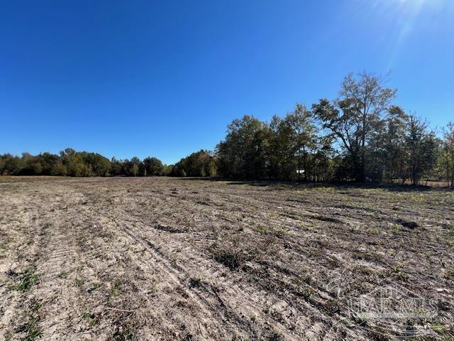 21 North Atmore Al Atmore, AL 36502 - Photo 20 of 23