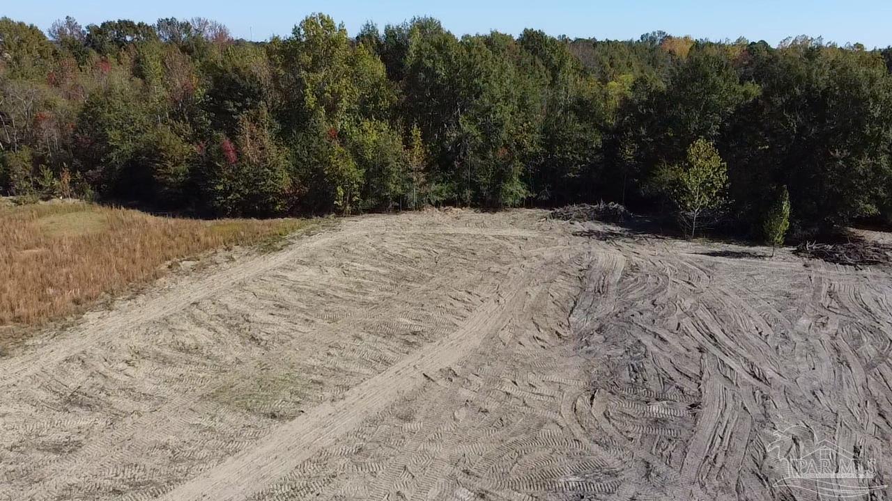 21 North Atmore Al Atmore, AL 36502 - Photo 9 of 23