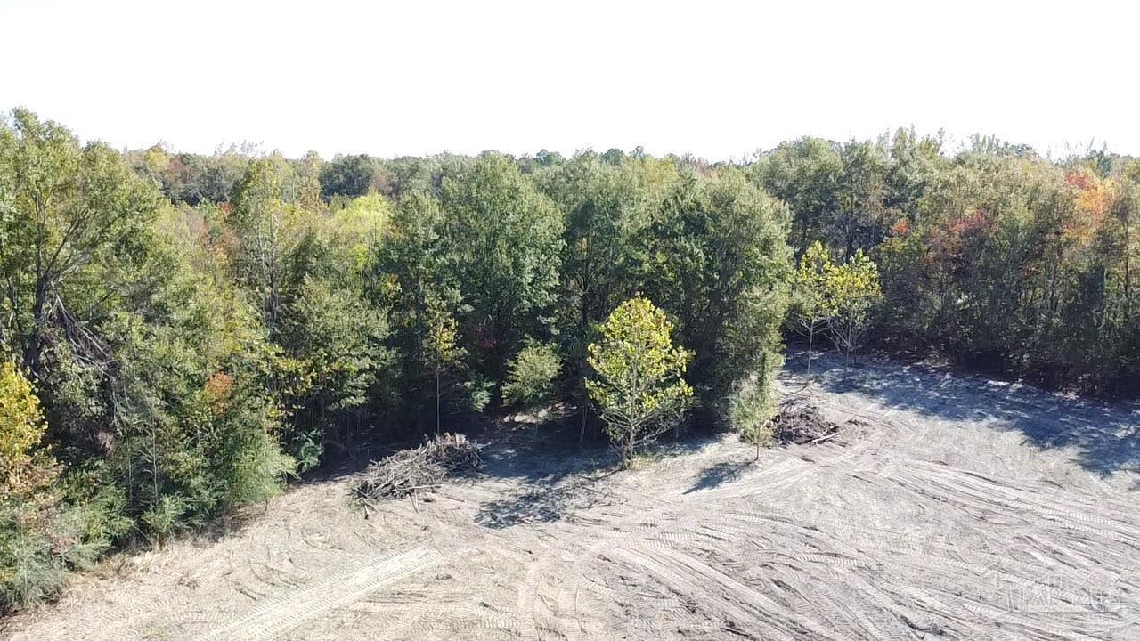 21 North Atmore Al Atmore, AL 36502 - Photo 10 of 23