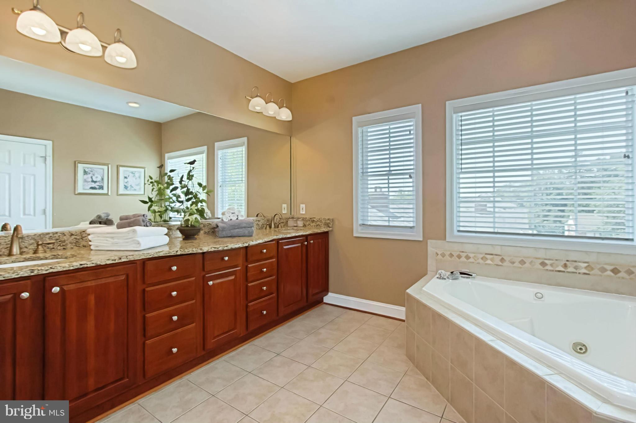 2830 North Rochester Street Arlington, VA 22213 - Photo 22 of 30 Bath (Master)