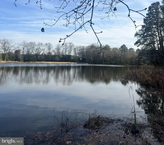 a view of a lake in a forest