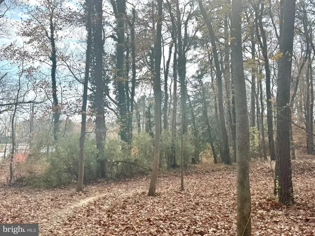 a backyard of a house with trees