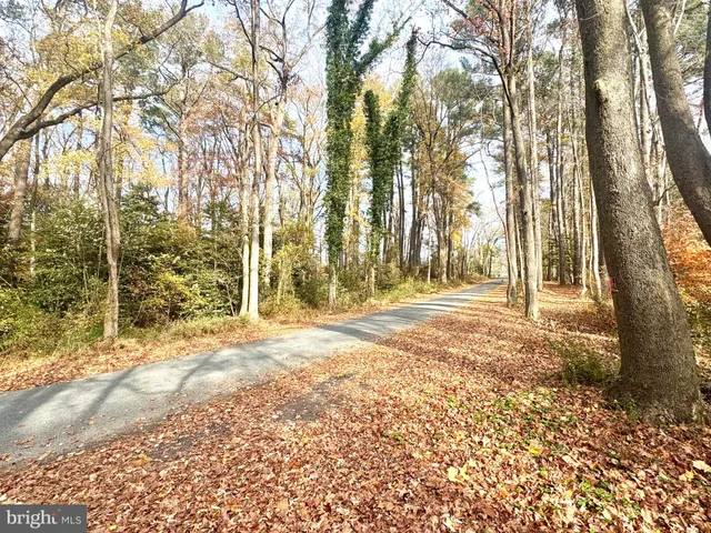 a view of outdoor space with trees