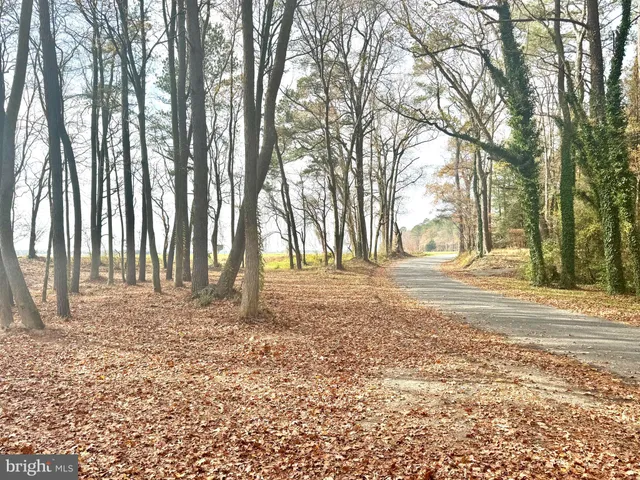 a view of a yard with trees in front of it