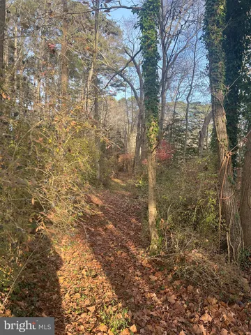 $78,000 | 0 Cottman Road, Eden, MD 21822