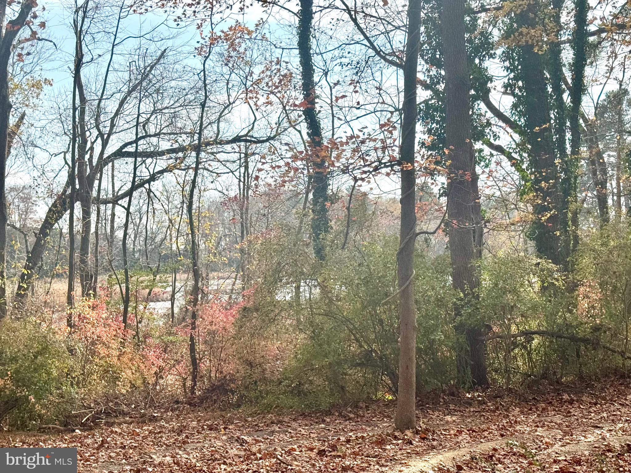 0 Cottman Road Eden, MD 21822 - Photo 7 of 28 Gallery Image 7