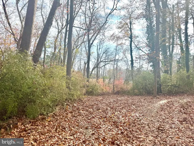 a view of a yard with trees