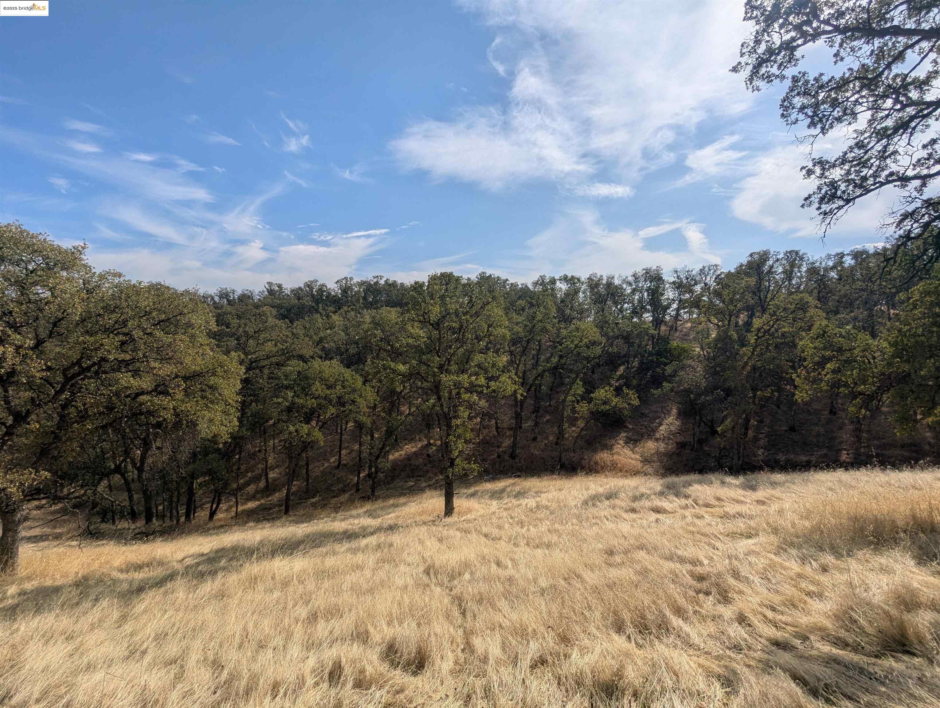 18574 Stallion Drive Red Bluff, CA 96080 - Photo 2 of 2 a view of a yard covered with snow