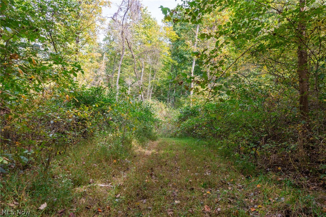 Lew Marten Road Summerfield, OH 43788 - Photo 43 of 50 Gallery Image 43